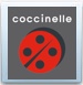 Coccinelle